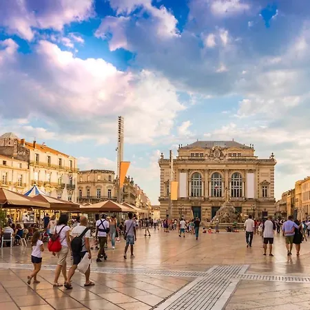 Balcon Montpellierain Proche Fac Et Hopitaux Apartamento *